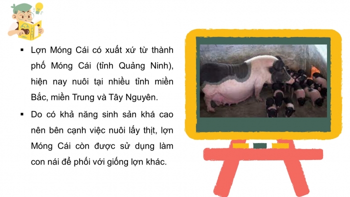 Giáo án điện tử công nghệ 7 chân trời bài 9: Một số phương thức chăn nuôi ở Việt Nam