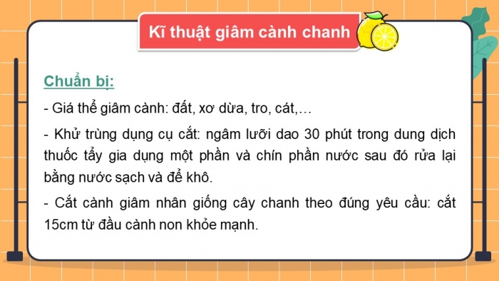 Giáo án PowerPoint bài 5: Nhân giống vô tính cây trồng