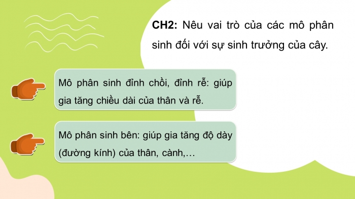 Giáo án điện tử KHTN 7 cánh diều – Phần sinh học bài 30: Sinh trưởng và phát triển ở thực vật