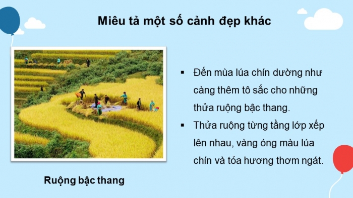 Bài giảng điện tử mĩ thuật 3 kết nối tri thức chủ đề 7: Cảnh vật quanh em