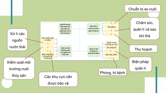  Giáo án điện tử công nghệ 7 cánh diều bài: Ôn tập chủ đề 2