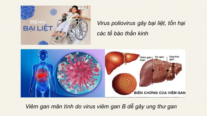 Giáo án điện tử sinh học 10 kết nối bài 25: Một số bệnh do virus và các thành tựu nghiên cứu ứng dụng virus
