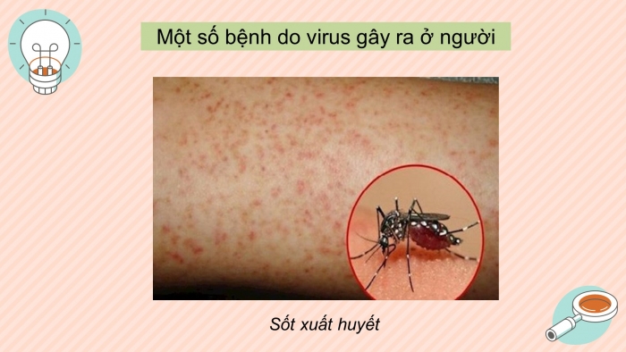 Giáo án điện tử sinh học 10 kết nối bài 26: Thực hành - Điều tra một số bệnh do virus & tuyên truyền phòng chống bệnh