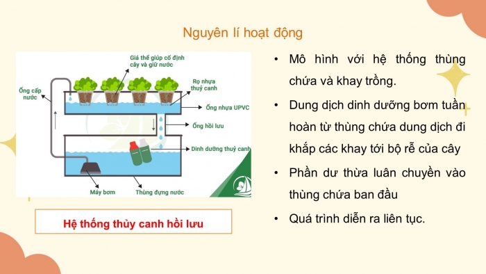 Giáo án điện tử công nghệ trồng trọt 10 kết nối bài: Ôn tập chương 7