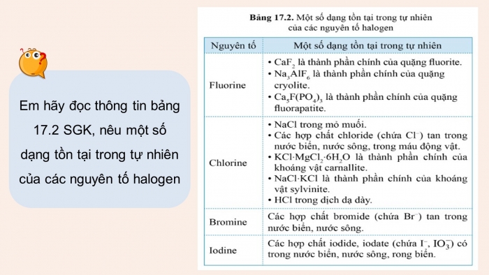 Giáo án điện tử hóa học 10 chân trời bài 17: Tính chất vật lí và hóa học các đơn chất nhóm viia