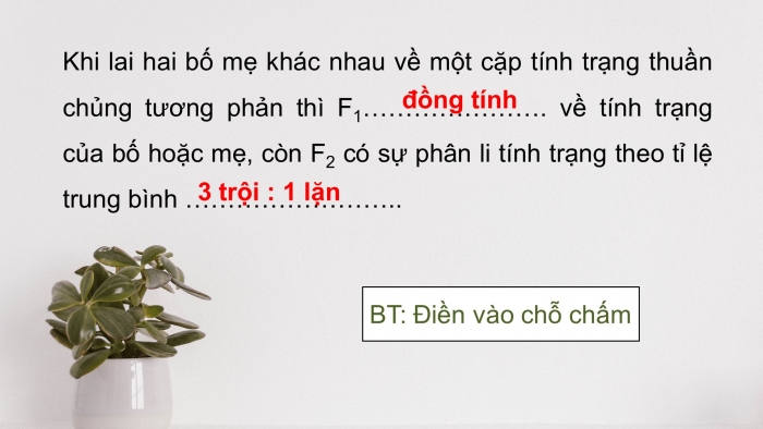 Giáo án điện tử sinh học 9 bài 2: Lai một cặp tính trạng