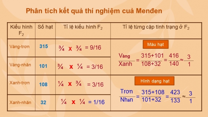 Giáo án điện tử sinh học 9 bài 4: Lai hai cặp tính trạng