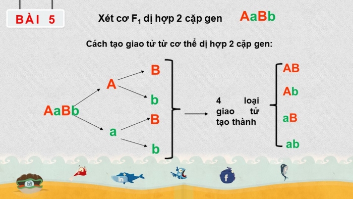 Giáo án điện tử sinh học 9 bài 5: Lai hai cặp tính trạng (tiếp theo)