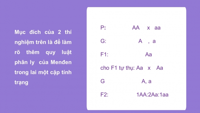 Giáo án điện tử sinh học 9 bài 6: Thực hành tính xác suất xuất hiện các mặt của đồng kim loại