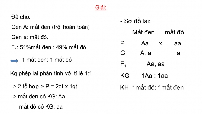 Giáo án điện tử sinh học 9 bài 7: Bài tập chương I