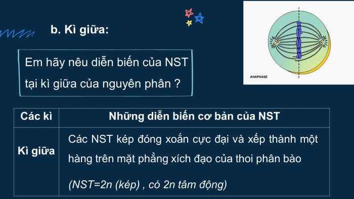 Giáo án điện tử sinh học 9 bài 9: Nguyên phân