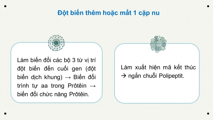 Giáo án điện tử Sinh học 12 bài 4: Đột biến gen