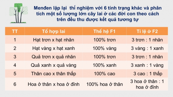 Giáo án điện tử Sinh học 12 bài 8: Quy luật Menđen: Quy luật phân li