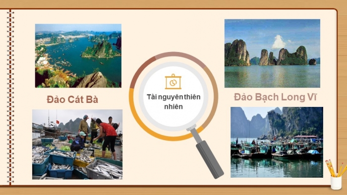 Giáo án điện tử địa lí 9 bài 20: Vùng Đồng bằng sông Hồng