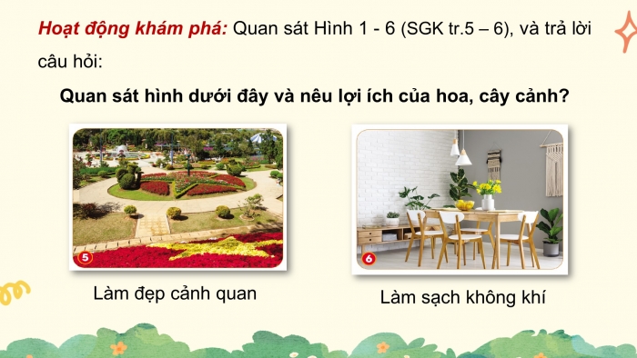 Giáo án điện tử Công nghệ 4 cánh diều Bài 1: Lợi ích của hoa và cây cảnh