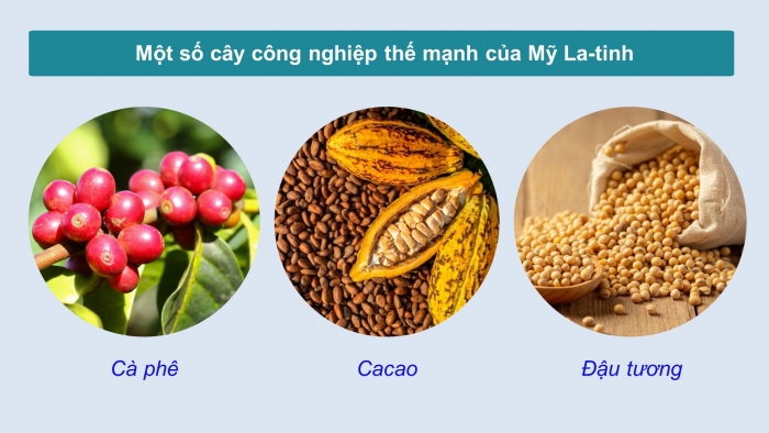 Giáo án điện tử Địa lí 11 cánh diều Bài 7: Vị trí địa lí, điều kiện tự nhiên, dân cư, xã hội và kinh tế khu vực Mỹ La-tinh (Phần 2)