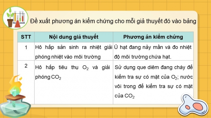 Giáo án điện tử Sinh học 11 chân trời Bài 7: Thực hành: Một số thí nghiệm về hô hấp ở thực vật