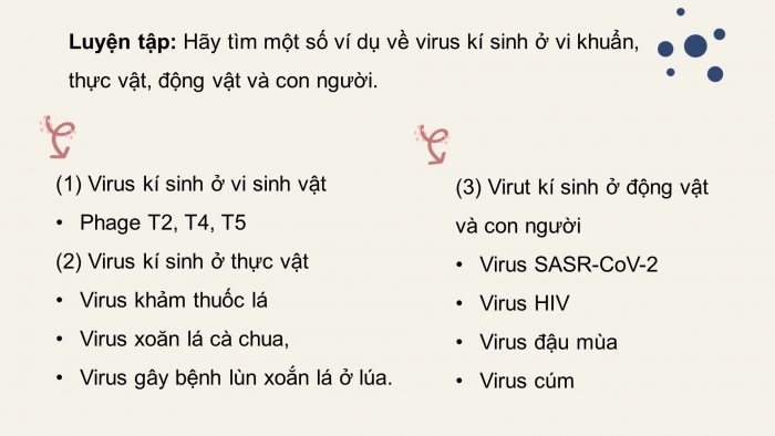 Giáo án điện tử sinh học 10 chân trời bài 29: Virus