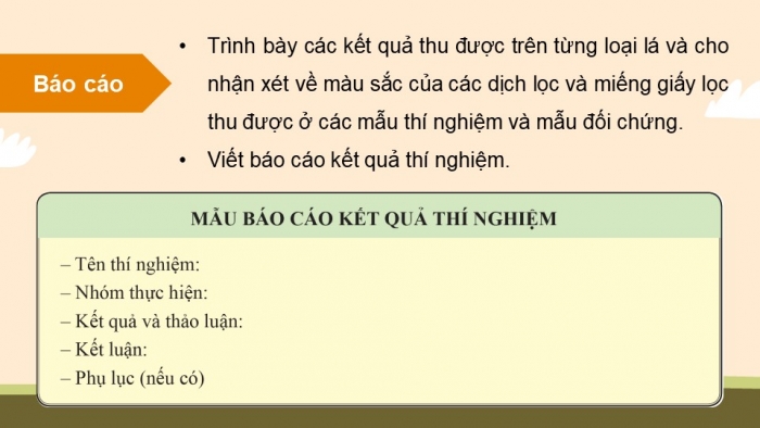 Giáo án điện tử Sinh học 11 cánh diều Bài 4: Quang hợp ở thực vật (P2)