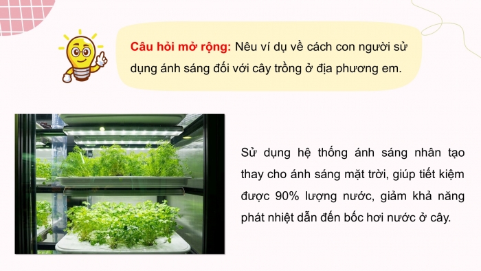 Giáo án điện tử Khoa học 4 kết nối Bài 9: Vai trò của ánh sáng