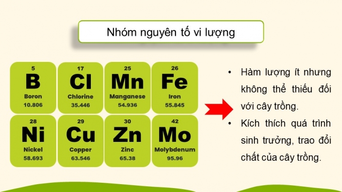 Giáo án điện tử KHTN 8 kết nối Bài 12: Phân bón hoá học