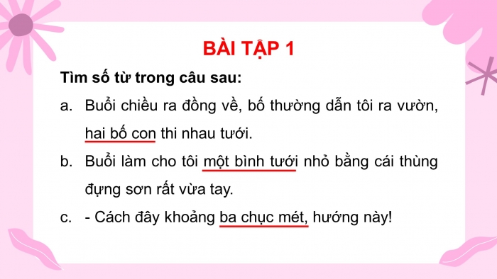 Giáo án điện tử tiết: Thực hành tiếng việt - Số từ