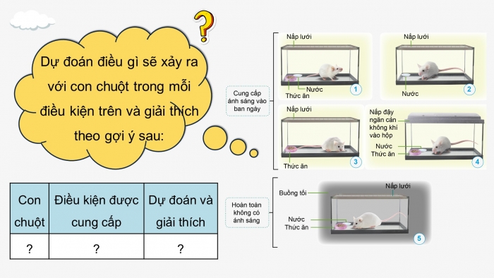 Giáo án điện tử Khoa học 4 cánh diều Bài 14: Nhu cầu sống của động vật và chăm sóc vật nuôi (P1)