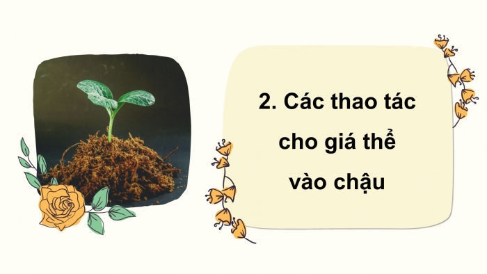 Giáo án điện tử Công nghệ 4 cánh diều Bài 5: Gieo hạt và trồng cây con trong chậu