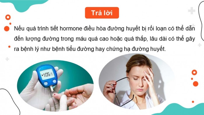 Giáo án điện tử KHTN 8 kết nối Bài 38: Hệ nội tiết ở người