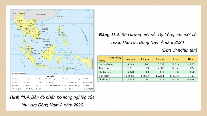 Giáo án điện tử Địa lí 11 cánh diều Bài 11: Vị trí địa lí, điều kiện tự nhiên, dân cư, xã hội và kinh tế Đông Nam Á (P2)