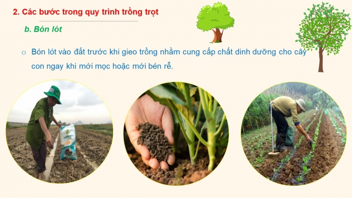 Giáo án điện tử công nghệ 7 cánh diều bài 2: Quy trình trồng trọt