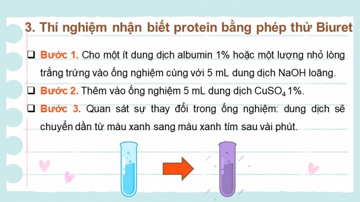 Giáo án điện tử sinh học 10 kết nối bài 6: Thực hành - Nhận biết một số phân tử sinh học