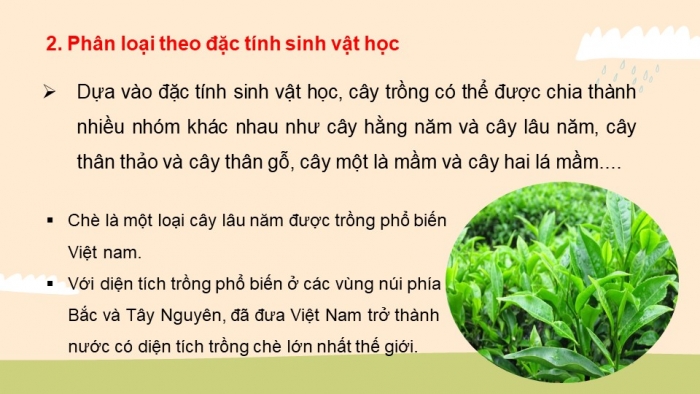 Giáo án điện tử công nghệ 10 – Trồng trọt kết nối bài 2: Cây trồng và các yếu tố chính trong trồng trọt