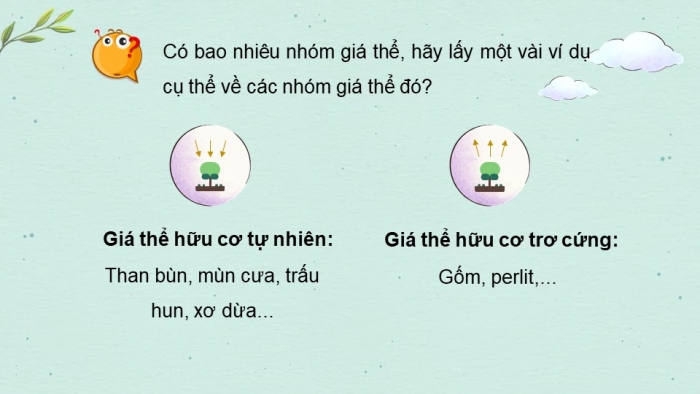 Giáo án điện tử công nghệ 10 – Trồng trọt kết nối bài 5: Giá thể cây trồng