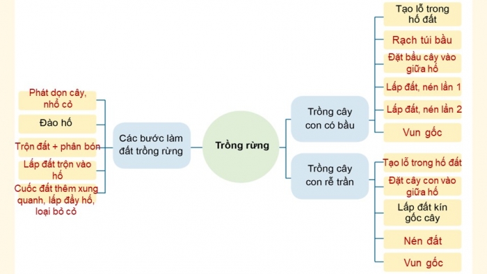 Giáo án điện tử công nghệ 7 cánh diều bài: Ôn tập chủ đề 1. Trồng trọt và lâm nghiệp