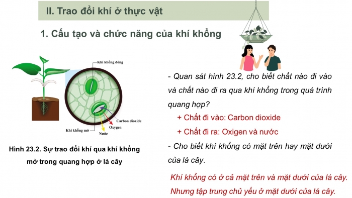 Giáo án điện tử KHTN 7 cánh diều – Phần sinh học  bài 23: Trao đổi khí ở sinh vật