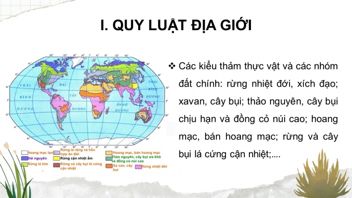 Giáo án điện tử địa lí 10 chân trời bài 18: Quy luật địa đới và quy luật phi địa đới