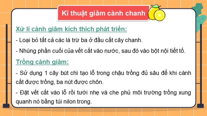 Giáo án PowerPoint bài 5: Nhân giống vô tính cây trồng