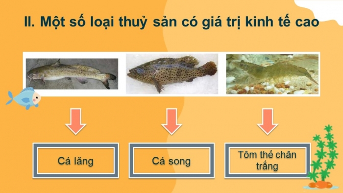 Bài giảng điện tử công nghệ 7 kết nối tri thức bài 14: Giới thiệu về thủy sản