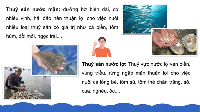 Giáo án điện tử công nghệ 7 chân trời bài 12: Ngành thủy sản ở Việt Nam