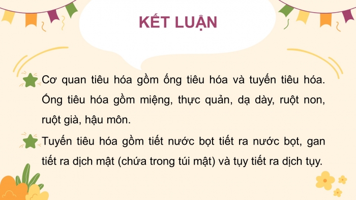 Giáo án điện tử bài 20: Cơ quan tiêu hóa