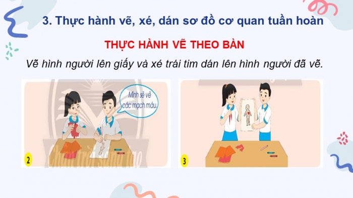 Giáo án điện tử bài 21: Cơ quan tuần hoàn