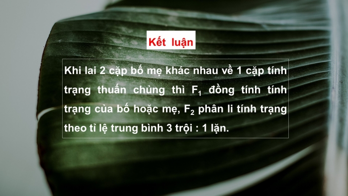 Giáo án điện tử sinh học 9 bài 2: Lai một cặp tính trạng