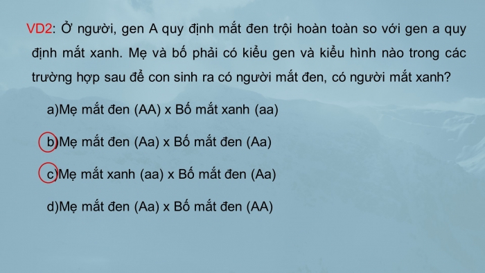 Giáo án điện tử sinh học 9 bài 7: Bài tập chương I