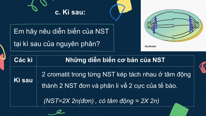 Giáo án điện tử sinh học 9 bài 9: Nguyên phân