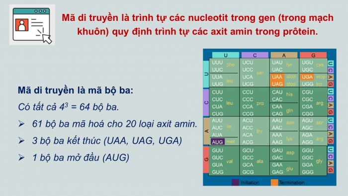 Giáo án điện tử Sinh học 12 bài 1: Gen, mã di truyền và quá trình nhân đôi ADN