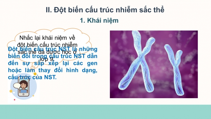 Giáo án điện tử Sinh học 12 bài 5: Nhiễm sắc thể và đột biến cấu trúc nhiễm sắc thể