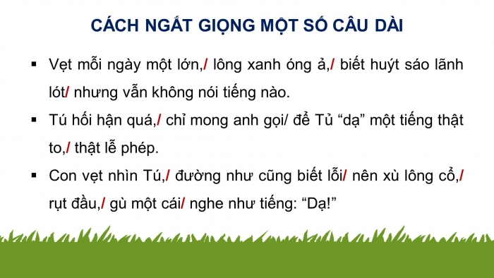 Giáo án điện tử Tiếng Việt 4 kết nối Bài 13 Đọc: Con vẹt xanh
