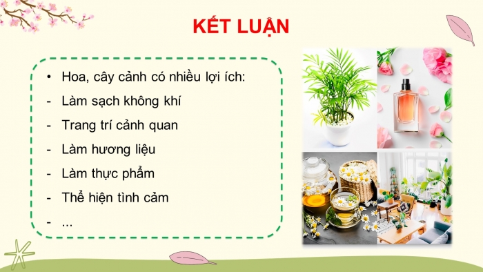 Giáo án điện tử Công nghệ 4 cánh diều Bài 1: Lợi ích của hoa và cây cảnh