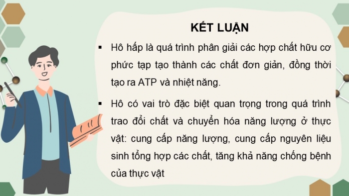 Giáo án điện tử Sinh học 11 chân trời Bài 6: Hô hấp ở thực vật